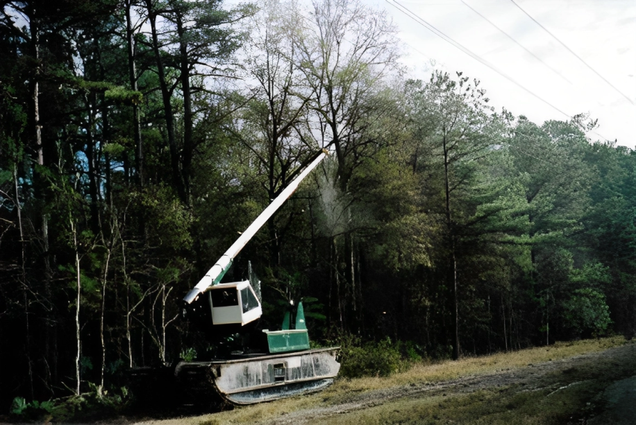 Clearing Up Powerlines the Wetland Equipment Way!